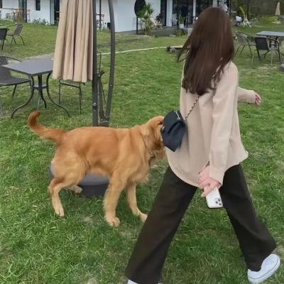 渡你一世安暖